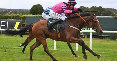 Timurshah completes five-timer in Kilberrey Handicap - breakingnews.ie