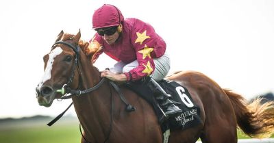 Thundering On not certain for Arc