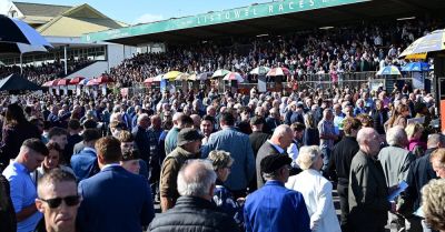 Justatan could prove tough to beat at Listowel