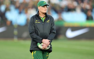 LIVE | Test rugby: Wallabies v Springboks