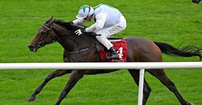 Pink Venom strikes prior to Mallow abandonment - breakingnews.ie