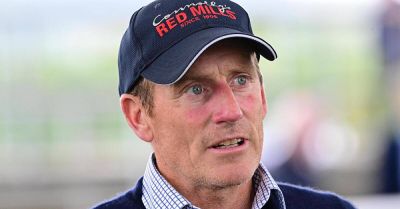 Weekend racing preview: Namiid can get back to winning ways at Navan